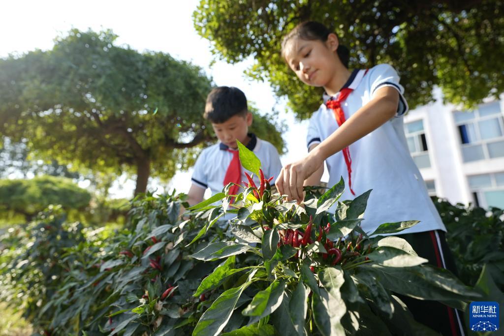 玖信娱乐